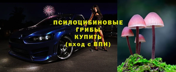 прущие грибы Бородино