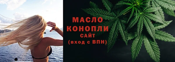 прущие грибы Бородино