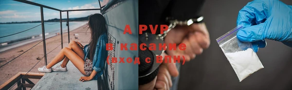 прущие грибы Бородино