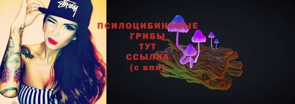 стафф Бронницы