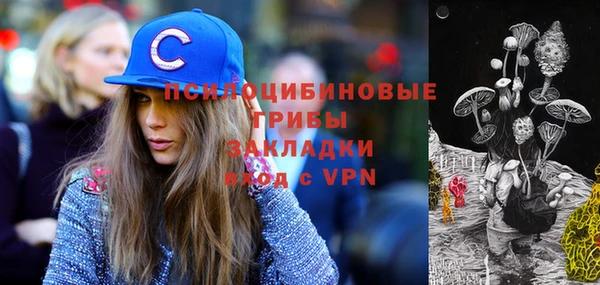 стафф Бронницы