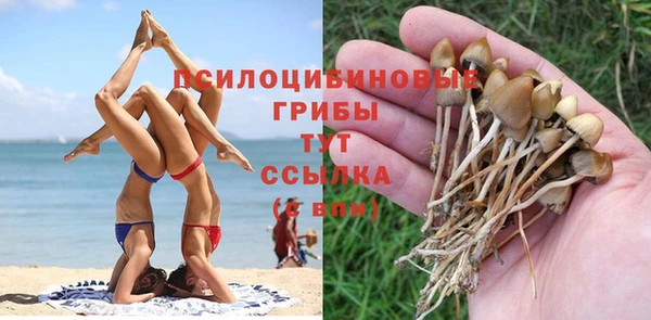 стафф Бронницы