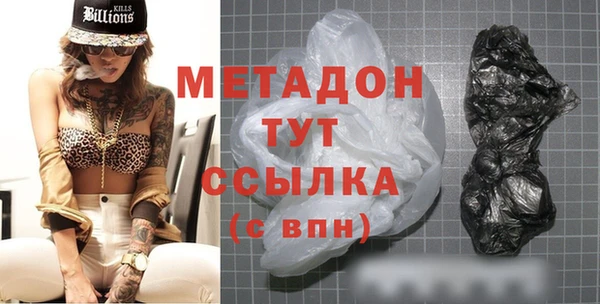 прущие грибы Бородино