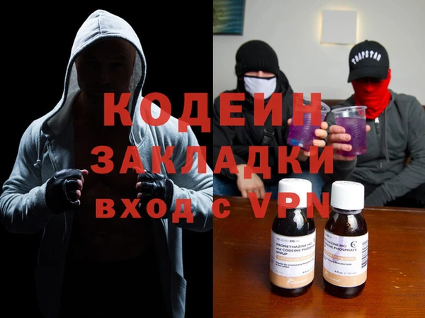 прущие грибы Бородино