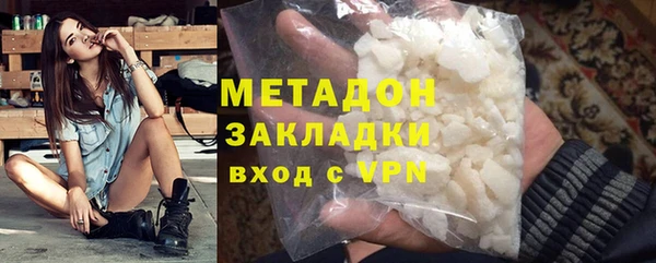 прущие грибы Бородино