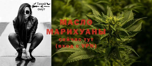 прущие грибы Бородино