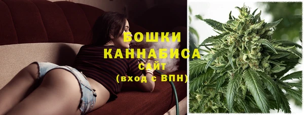 стафф Бронницы
