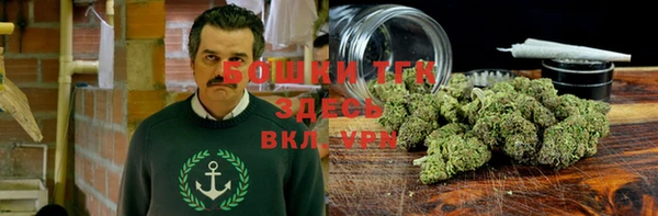 прущие грибы Бородино