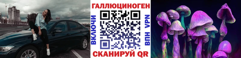 хочу Будённовск ОМГ ОМГ маркетплейс Псилоцибиновые грибы Psilocybine cubensis