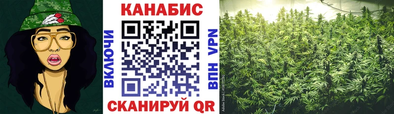 купить   Будённовск  Каннабис семена 